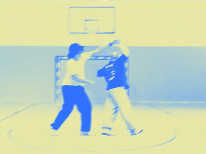 VHS Beginner Course